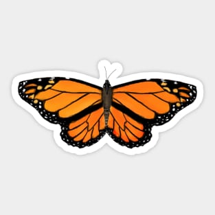 Monarch Butterfly Sticker